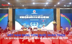 Việt Nam đang từng bước hoàn thiện các quy định pháp luật để bảo vệ bản quyền và tri thức