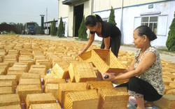 Hà Nội: Công nhận điểm nhận định kèo nhà cái làng nghề cỏ tế mây tre đan xã Phú Túc