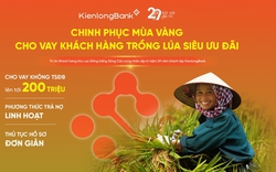 KienlongBank triển khai nguồn vốn vay nhiều ưu đãi cho bà con trồng lúa