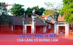 Lạc lối trong vẻ đẹp của Làng cổ Đường Lâm