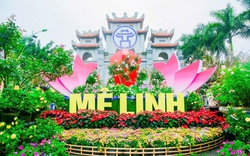 Festival Hoa Mê Linh năm 2024: Bản hòa ca đầy màu sắc, kết nối quá khứ, hiện tại và tương lai