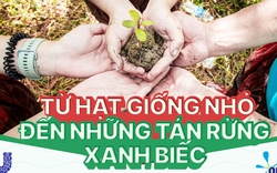 Một triệu cây xanh mang hành trình gieo mầm hy vọng trải dài từ Bắc chí Nam