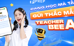 Đơn vị giáo dục đạt giải thưởng quốc tế gây bão cộng đồng học IELTS, TOEIC với “Teacher Bee AI”