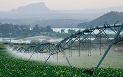 Những công nghệ “đầu cuối thế giới” tại nơi sản xuất sữa tươi sạch TH true MILK