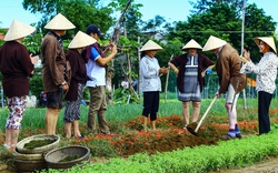 Quảng bá hình ảnh, thương hiệu, tiềm năng thế mạnh của du lịch nông thôn Việt Nam đến bạn bè quốc tế