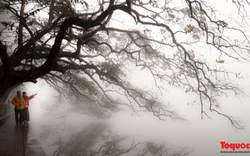 Du khách thích thú với sương mù dày đặc ở Hà Nội