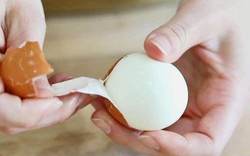 Một phần của trứng là báu vật dưỡng thương hàng trăm năm của các võ sĩ sumo, giàu protein và collagen nhưng vẫn thường bị vứt bỏ đáng tiếc