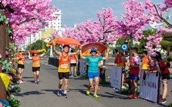  Quảng Bình: Tổ chức giải Marathon quốc tế vào tháng 7