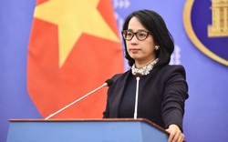 Việt Nam triển khai công tác bảo hộ công dân ở Campuchia, Thái Lan và Haiti