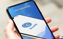 Đến giờ vẫn chưa cập nhật kèo cá cược nhà cái sẽ mất đi tiện ích sau 
