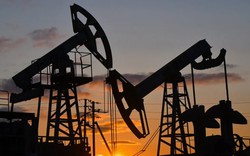 OPEC+ gia hạn cắt giảm sản lượng dầu tới hết quý II