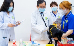 Choáng ngợp với loạt dịch vụ dành riêng cho “pet cưng” tại ngày hội “Chăm sóc sức khỏe thú cưng” HUTECH
