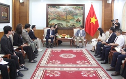 Thứ trưởng Hoàng Đạo Cương làm việc với Tập đoàn CJ Việt Nam: Thúc đẩy hợp tác phát triển bộ môn Taekwondo