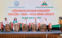 Tập đoàn Việt Mỹ tài trợ hội nghị Vacod – HBA Hoà Bình năm 2024