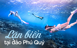 Review tour lặn biển tại đảo Phú Quý: 1,5 triệu cho 2 buổi, được dạy lặn, ảo diệu nhất là dịch vụ chụp ảnh đẹp quên lối về!