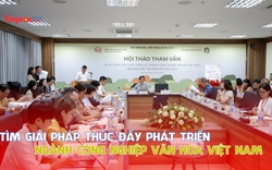 Tìm giải pháp thúc đẩy phát triển ngành công nghiệp văn hóa Việt Nam