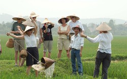 Đào tạo nghề cho lao động khu vực nông thông gắn với bảo tồn, phát huy không gian văn hoá, tiềm năng du lịch 