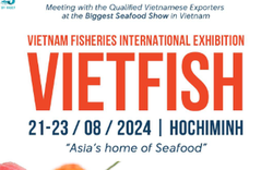 Vietfish – 