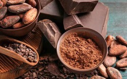 Fancy Foods được kỳ vọng đưa chocolate made in Việt Nam lên bản đồ thế giới