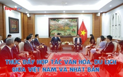 Thúc đẩy hợp tác văn hóa, du lịch giữa Việt Nam và Nhật Bản