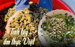 Mùa don về trên sông Trà Khúc - đặc sản 