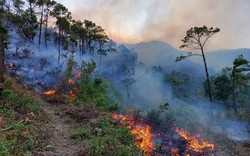 Quảng Bình: Liên tiếp xảy ra các đám cháy rừng