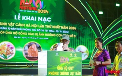 Gần một tỷ đồng đã được ủng hộ Quỹ phòng chống lụt bão tại Festival Sinh Vật Cảnh Hà Nội 2024