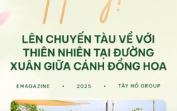 Tết này! Lên chuyến tàu về với thiên nhiên tại đường xuân giữa cánh đồng hoa