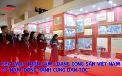 Khai mạc triển lãm 