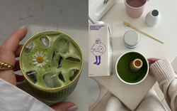Người người nhà nhà tự pha matcha latte, có ngay 5 loại sữa tươi cực hợp để chị em làm món đồ uống hot trend này