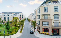 Lời giải nào cho các "điểm đau" của đầu tư đất nền?