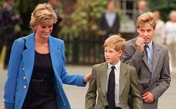 Tiết lộ lời cuối cùng công nương Diana nói với Hoàng tử William - Harry