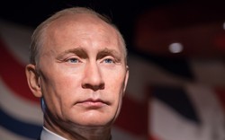 Nga “cực lực” phản đối sứ mệnh hòa bình tại biên giới Nga-Ukraine
