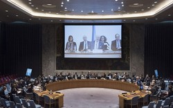 Phái đoàn chính phủ Syria bất ngờ trở lại đàm phán hòa bình Geneva