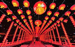 “Nóng” không khí đón Tết Nguyên đán “đặc biệt” tại một số nước