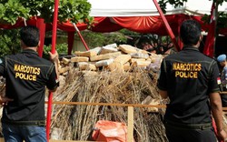 Indonesia: “Chật vật” với cuộc chiến chống ma tuý đang trở nên nghiêm trọng 