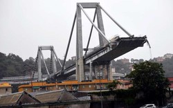 Italy tuyên bố sẽ có cầu mới trong 8 tháng tới sau vụ sập