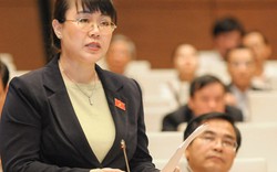 Lý do bà Nguyễn Thị Nguyệt Hường bị bác tư cách đại biểu Quốc hội