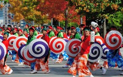 Nhiều hoạt động tại Lễ hội Giao lưu Văn hóa Việt - Nhật 2018