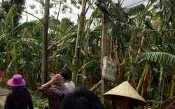Hà Tĩnh: Tham gia khắc phục thiệt hại sau bão, một Trưởng thôn bất cẩn tử vong 