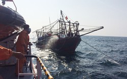 Đưa 4 thuyền viên tàu bị nạn ngoài vịnh Bắc bộ vào bờ an toàn