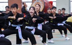 Khai mạc Giải vô địch Thế giới Võ cổ truyền Việt Nam lần thứ II 
