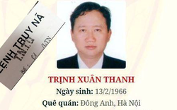 Đại sứ quán Đức tại Việt Nam trả lời câu hỏi liên quan đến Trịnh Xuân Thanh