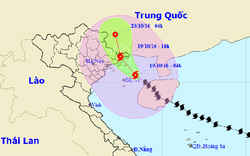 Bão số 7 giảm cấp, chiều nay đổ bộ vào Quảng Ninh