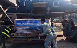 Vietnam Airlines vận chuyển khẩn cấp hàng cứu trợ đến các tỉnh miền Trung