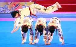 Khai mạc lễ kỉ niệm 20 năm Taekwondo Việt Nam