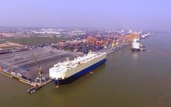 Một loạt doanh nghiệp “cầu cứu” Thủ tướng vụ thu phí cảng Hải Phòng