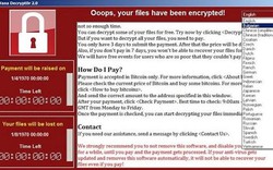 Quá nửa máy tính tại Việt Nam có thể bị tấn công bởi WannaCry