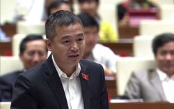ĐBQH Nguyễn Lân Hiếu nói về quảng cáo viên An cung ngưu hoàn