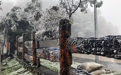 Đỉnh Ô Quí Hồ, Lào Cai tuyết rơi phủ trắng núi rừng